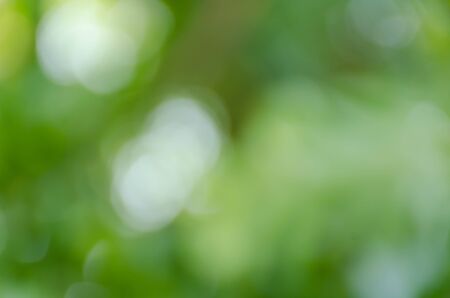 Green bokeh on nature defocus art abstract blur backgroundの写真素材