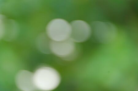 green bokeh abstract light backgroundの写真素材