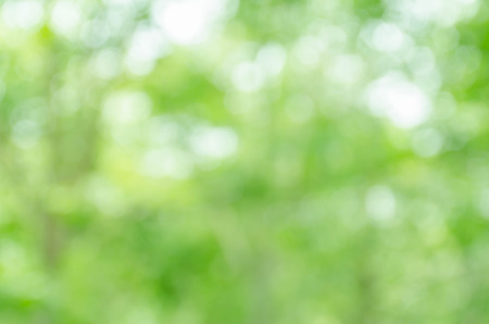 Abstract green bokeh backgroundの写真素材