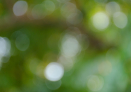 Green blurred background, the bokeh effectの写真素材