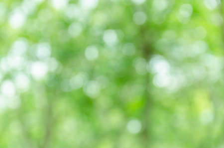 Abstract green bokeh backgroundの写真素材