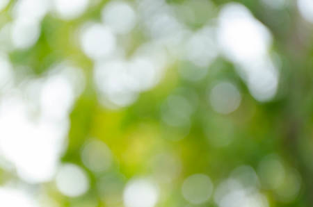 green bokeh abstract light backgroundの写真素材