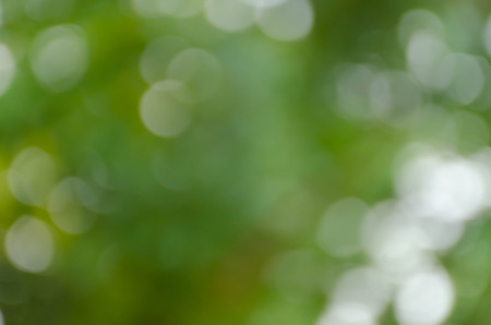 Green blurred background, the bokeh effectの写真素材