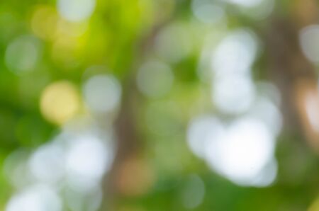 Green bokeh on nature defocus art abstract blur backgroundの写真素材