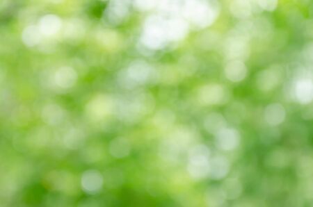 Abstract green bokeh backgroundの写真素材
