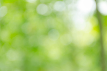 green bokeh backgroundの写真素材