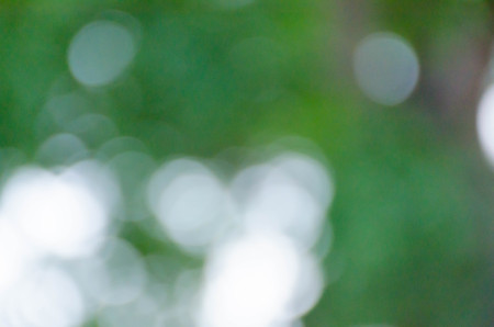 Green blurred background, the bokeh effectの写真素材