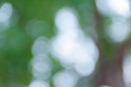 Green blurred background, the bokeh effectの写真素材