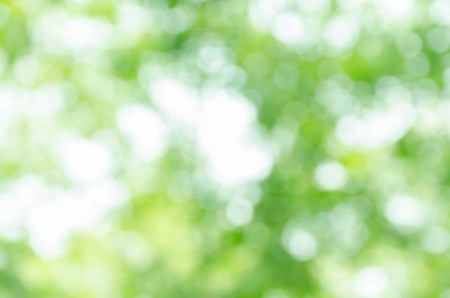 Abstract green bokeh backgroundの写真素材
