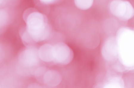 sweet color rose in blur style for backgroundの写真素材