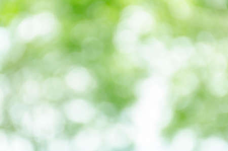 green bokeh backgroundの写真素材