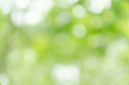 green bokeh backgroundの写真素材