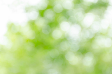 green bokeh backgroundの写真素材