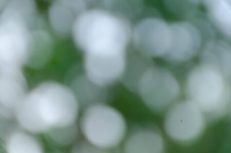 Green blurred background, the bokeh effectの写真素材