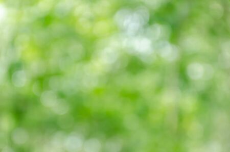 Abstract green bokeh backgroundの写真素材
