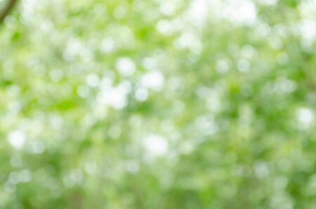 Abstract green bokeh backgroundの写真素材