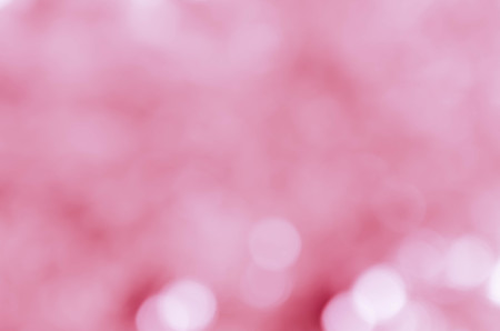 sweet color rose in blur style for backgroundの写真素材
