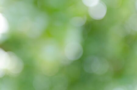 green bokeh from treeの写真素材
