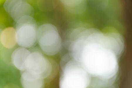 green bokeh abstract light backgroundの写真素材