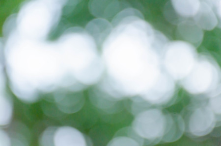 Green blurred background, the bokeh effectの写真素材