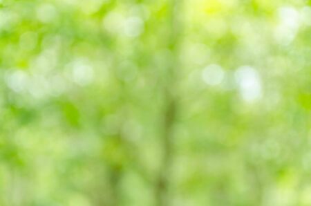 green bokeh abstract light backgroundの写真素材