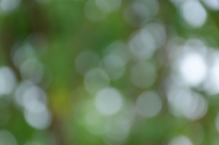 Green blurred background, the bokeh effectの写真素材