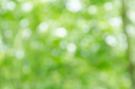 Abstract green bokeh backgroundの写真素材
