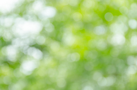 Abstract green bokeh backgroundの写真素材