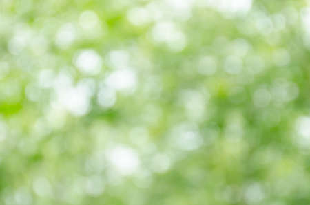 Abstract green bokeh backgroundの写真素材