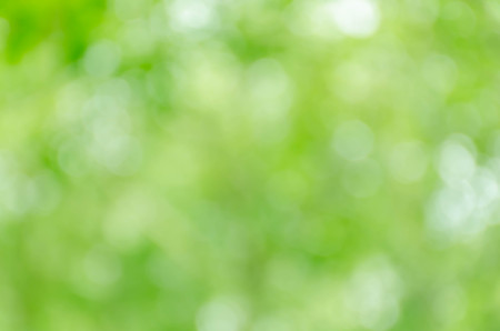 green bokeh backgroundの写真素材