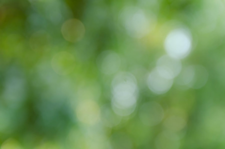 Green bokeh on nature defocus art abstract blur backgroundの写真素材