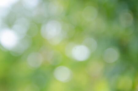 Green bokeh on nature defocus art abstract blur backgroundの写真素材