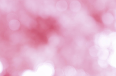 sweet color rose in blur style for backgroundの写真素材