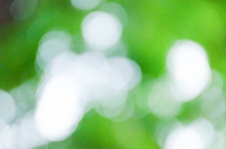 Green blurred background, the bokeh effectの写真素材