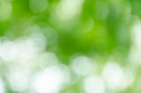 Abstract green bokeh backgroundの写真素材