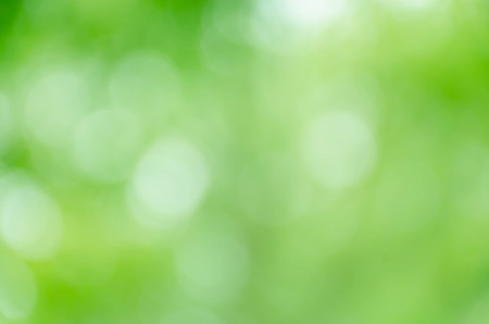 Abstract natural green bokeh backgroundの写真素材