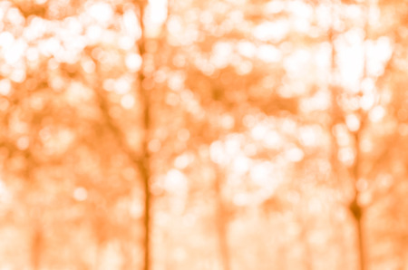 Abstract orange bokeh backgroundの写真素材