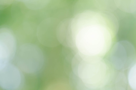nature green bokeh sun light flare and blur leaf abstract texture backgroundの写真素材