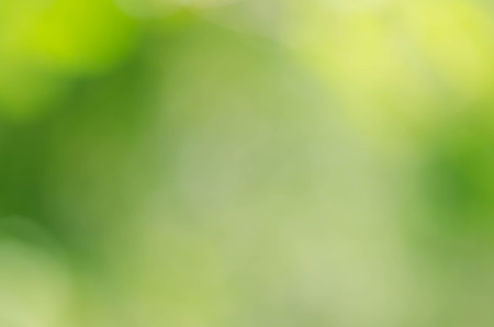 Green bokeh on nature defocus art abstract blur backgroundの写真素材