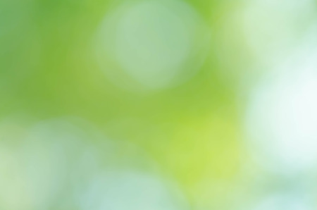 Green bokeh on nature defocus art abstract blur backgroundの写真素材