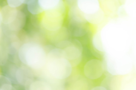 nature green bokeh sun light flare and blur leaf abstract texture backgroundの写真素材