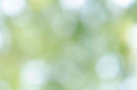 green bokeh abstract light backgroundの写真素材