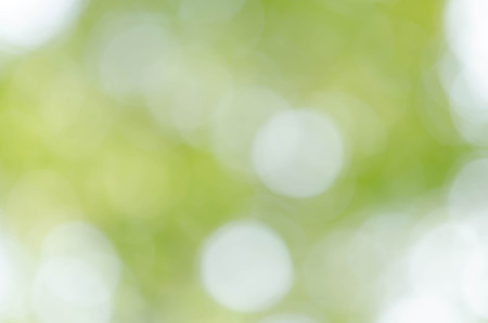 green bokeh abstract light backgroundの写真素材