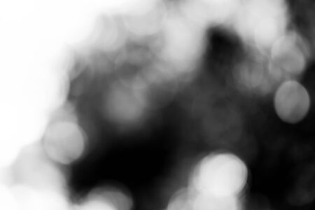 blurred bokeh lights on black loop backgroundの写真素材