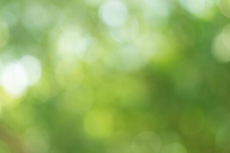 Abstract Green Bokeh Light Backgroundの写真素材