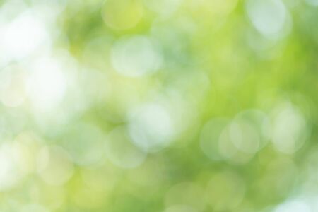 Abstract Green Bokeh Light Backgroundの写真素材