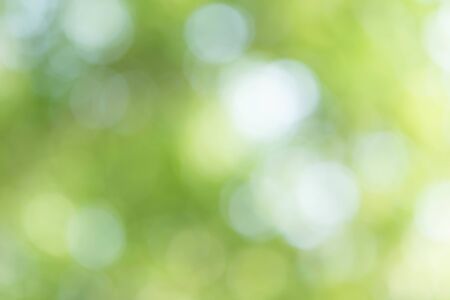 Abstract Green Bokeh Backgroundの写真素材