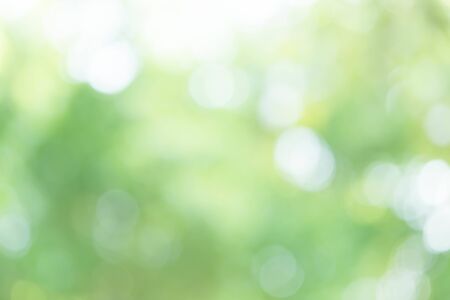 Abstract Green Bokeh Light Backgroundの写真素材
