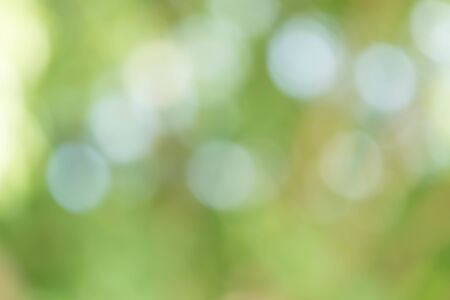 Green Bokeh Backgroundの写真素材