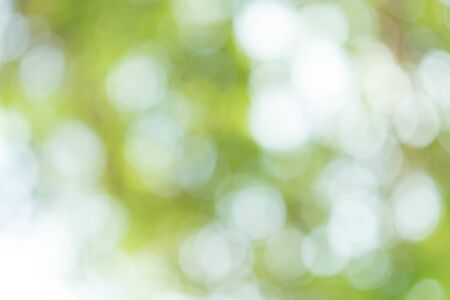 Abstract Green Bokeh Backgroundの写真素材